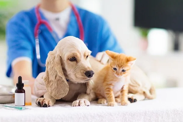 Pet Vaccination